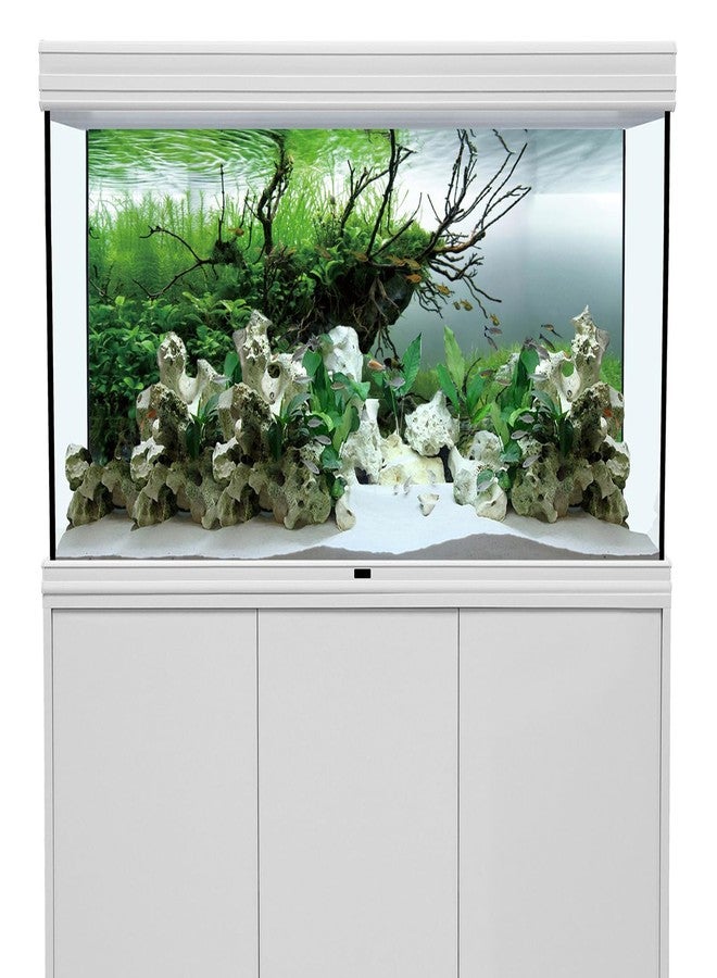 AWERT 24x16 inches Branches Fish Tank Background Seaweed Aquarium Background River Bed & Lake Aquarium Background Vinyl Background - Image 2